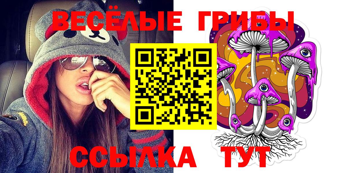 Псилоцибиновые грибы мухоморы Новокубанск